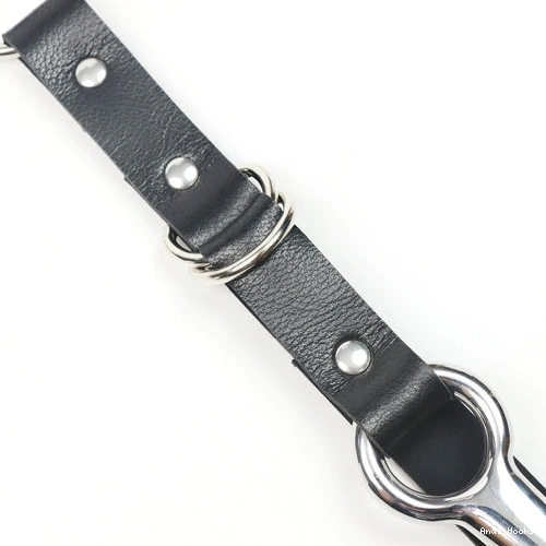 Anal Hooks 5853 EverydayUse Anal Kinky Leash with Collar and Hook 0811